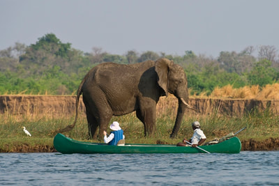 Canoeing on the Zambezi River, Mana Pools, Zimbabwe