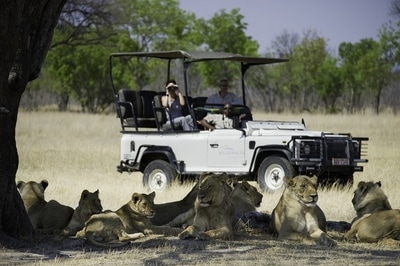 Out on a game drive from Davison's Camp, Hwange National Park