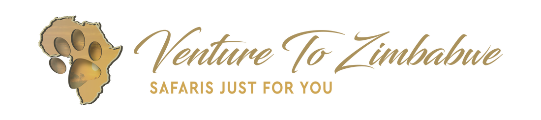 Venture To Zimbabwe logo